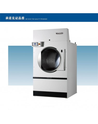 Wales GZ100 Industrial Dryer Machines